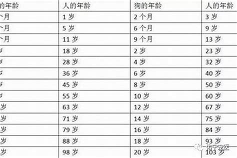 06年几岁|2006年现在多大了 今年多大年龄